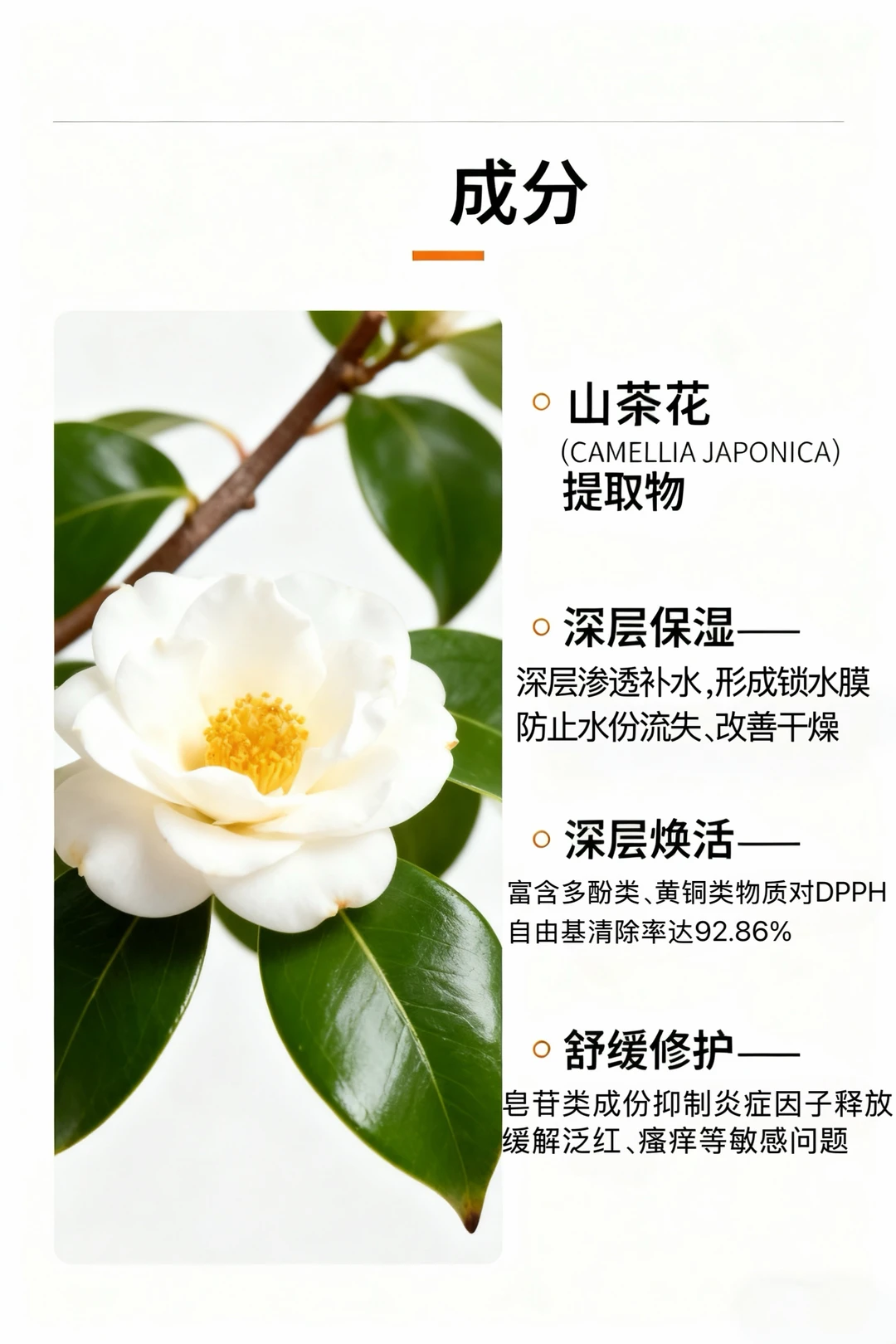 唐宋后宫娘娘藏在妆奁里的「驻颜白花」