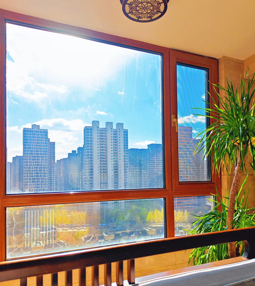 女律师的周日休闲时光