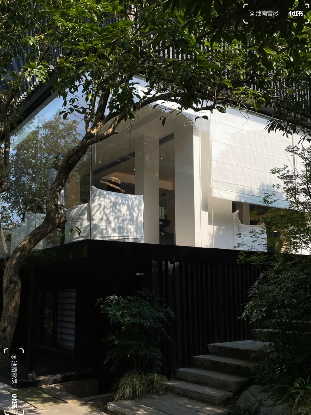 𝚂𝚌𝚘𝚝𝚝𝚒𝚜𝚑 𝙵𝚘𝚛𝚎𝚜𝚝⛰️拂晓森林