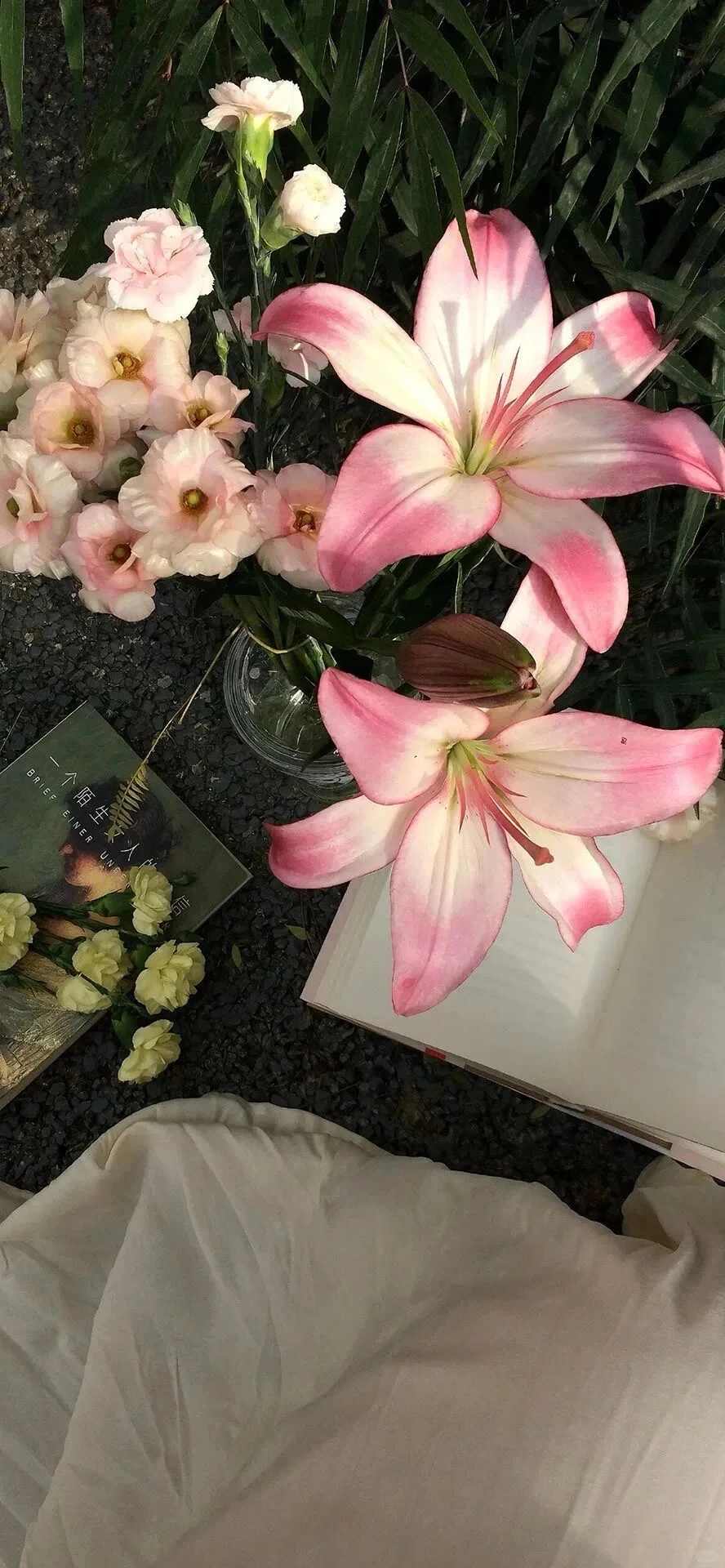 wallpaper | 全屏鲜花壁纸