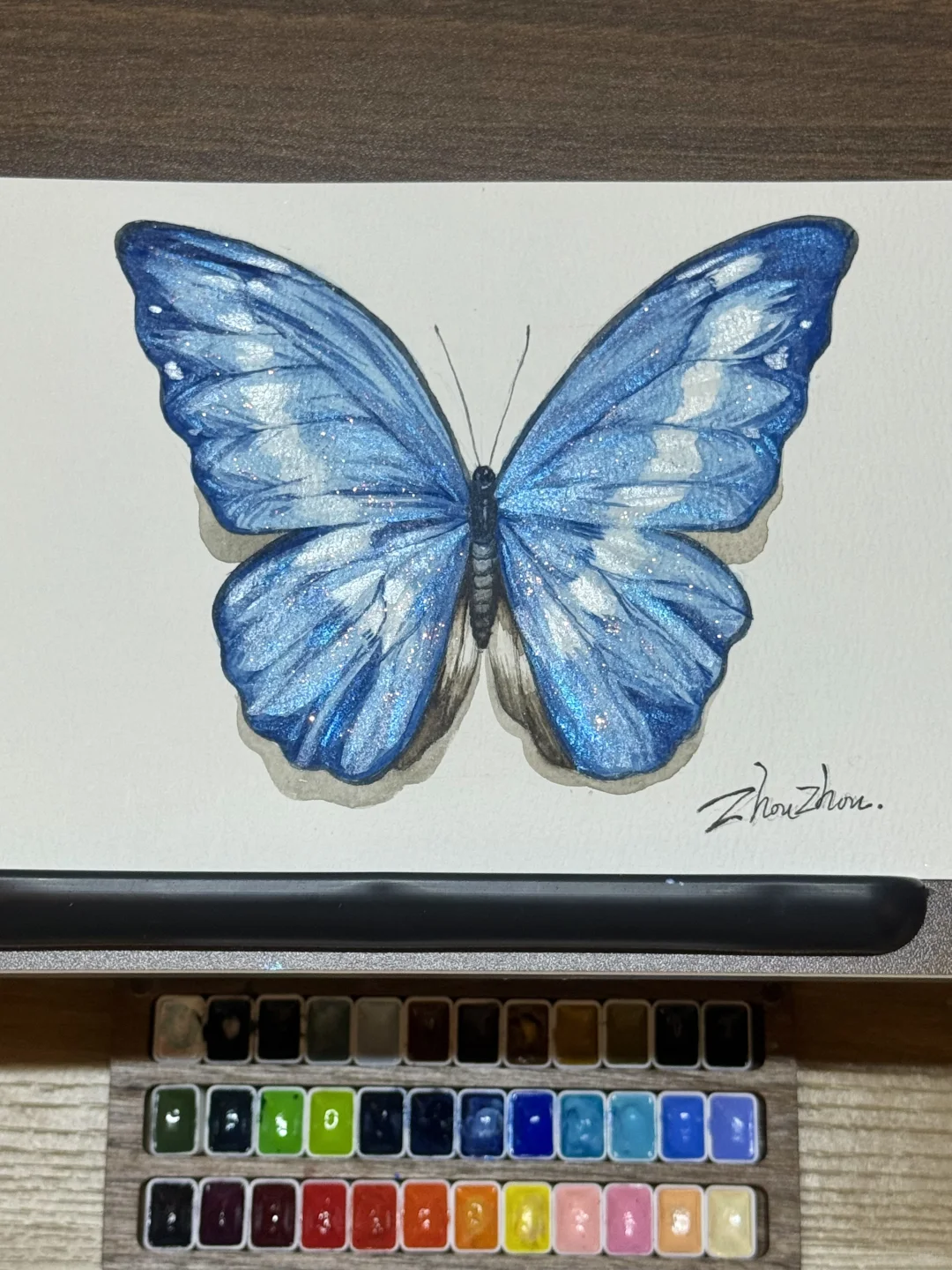 水彩｜光明女神蝶🦋