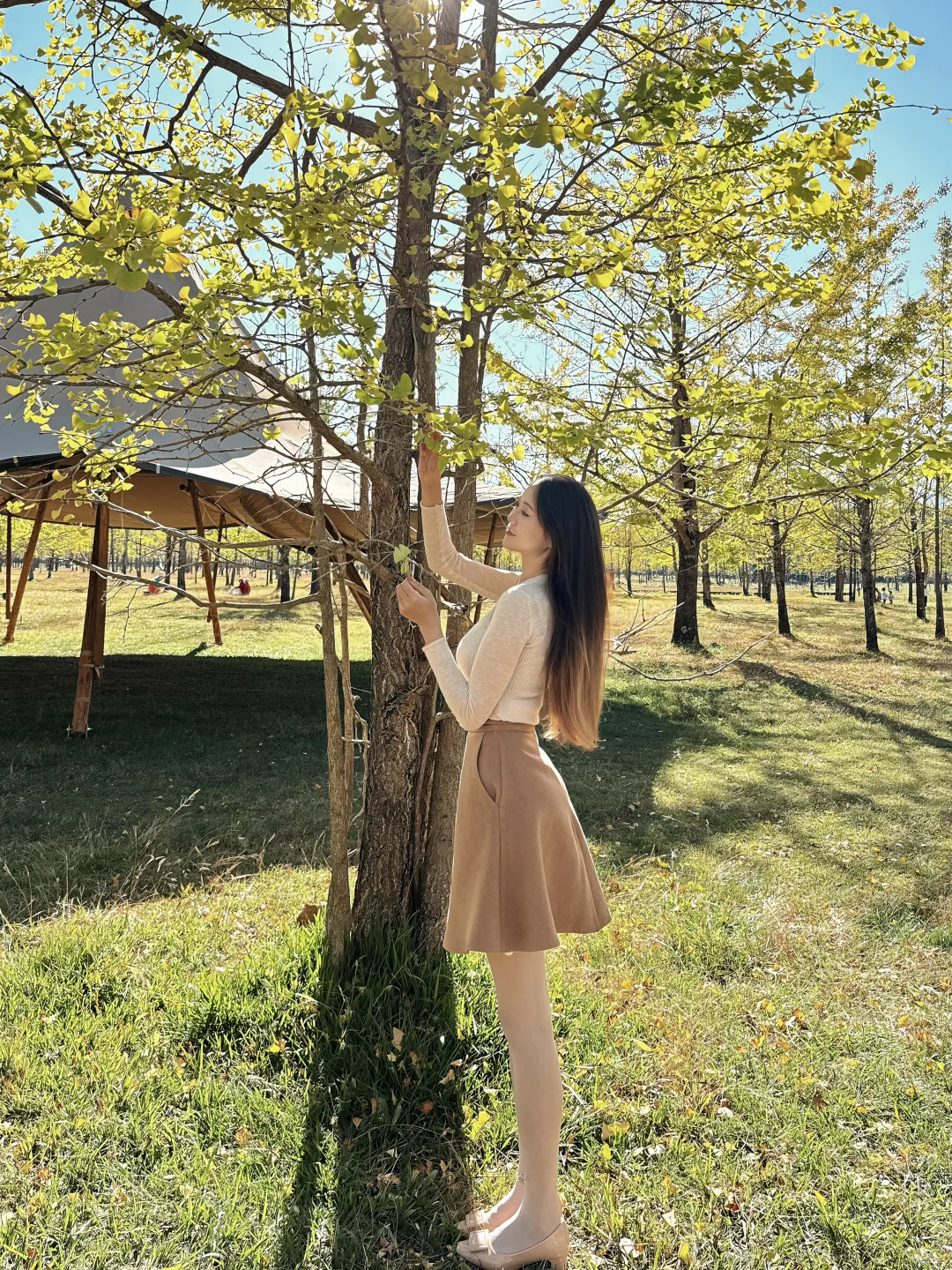 我温柔乖巧的样子都是在驯服你。