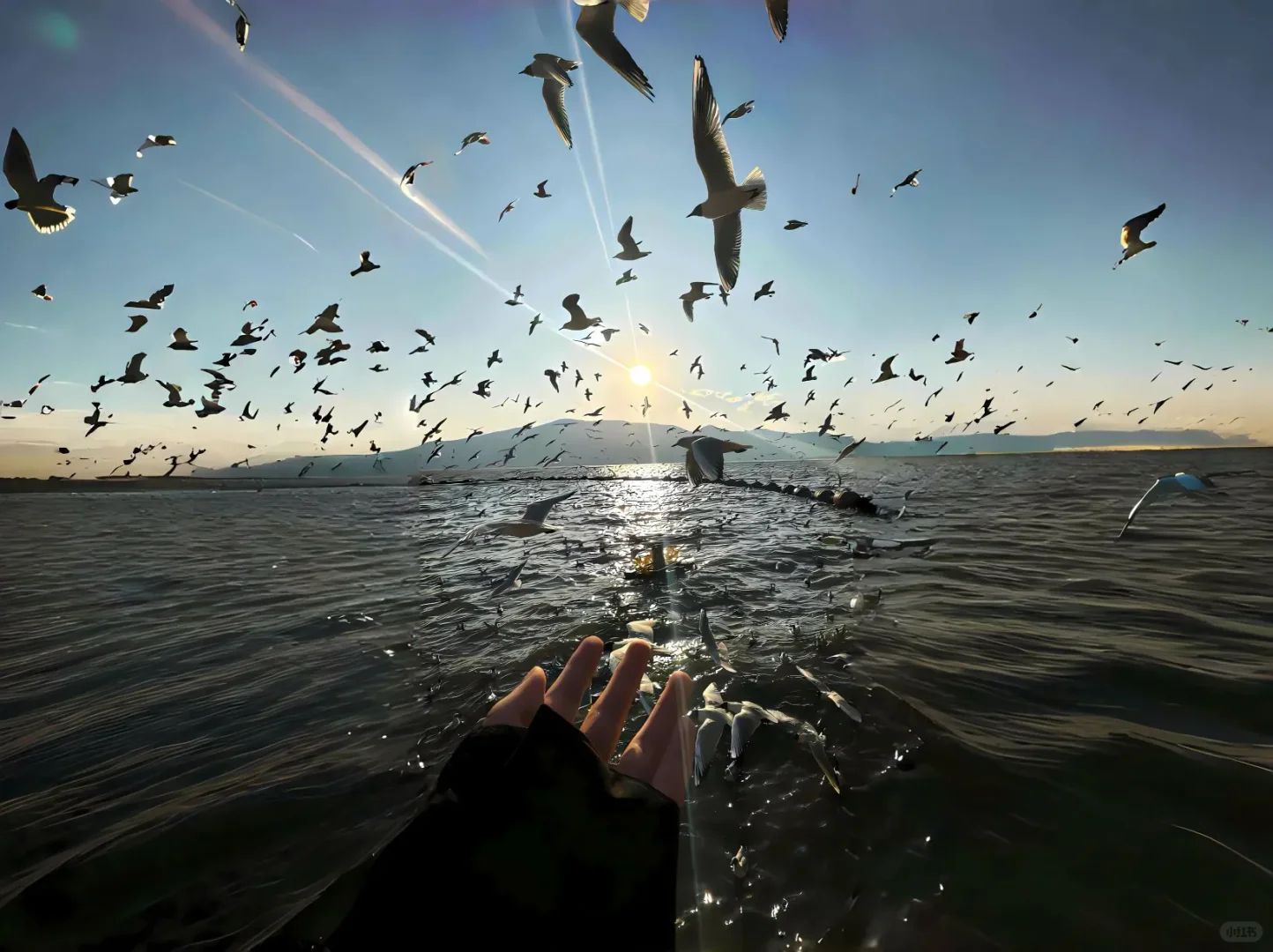 高清4K电脑壁纸