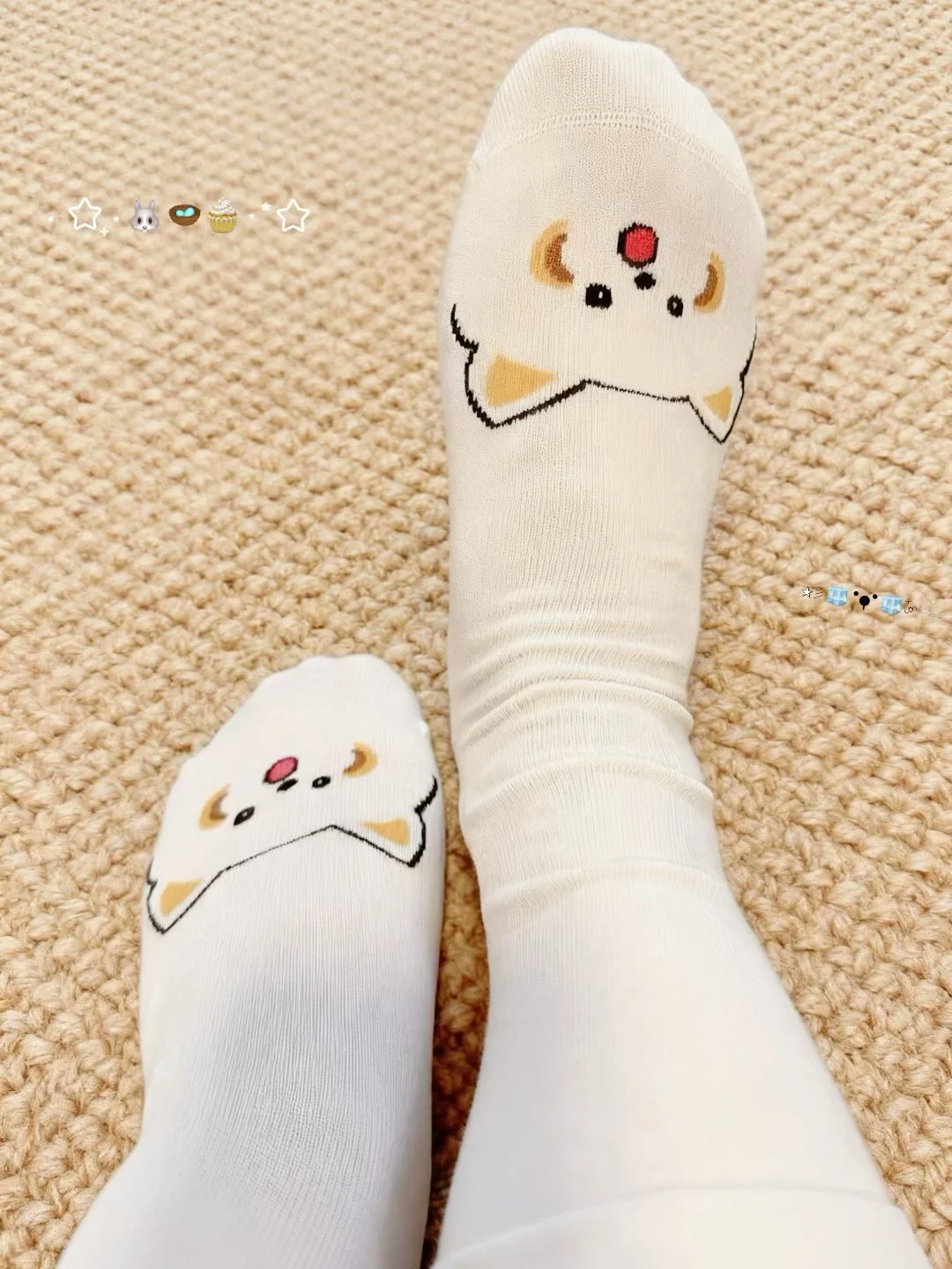 萌到犯规！jio上的小猫爪🐾～