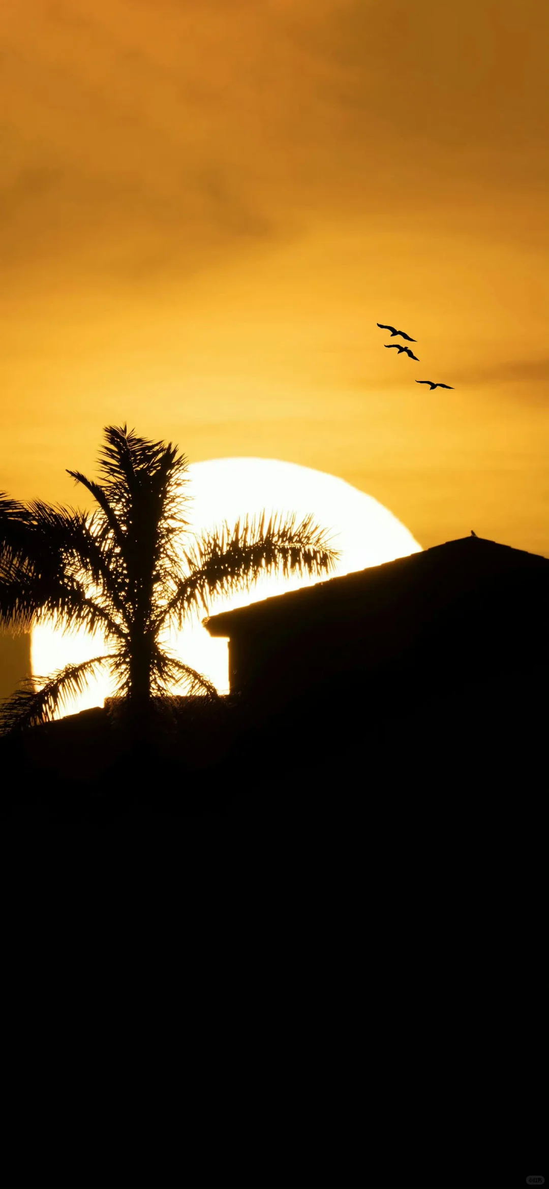 苹果ios26景深壁纸