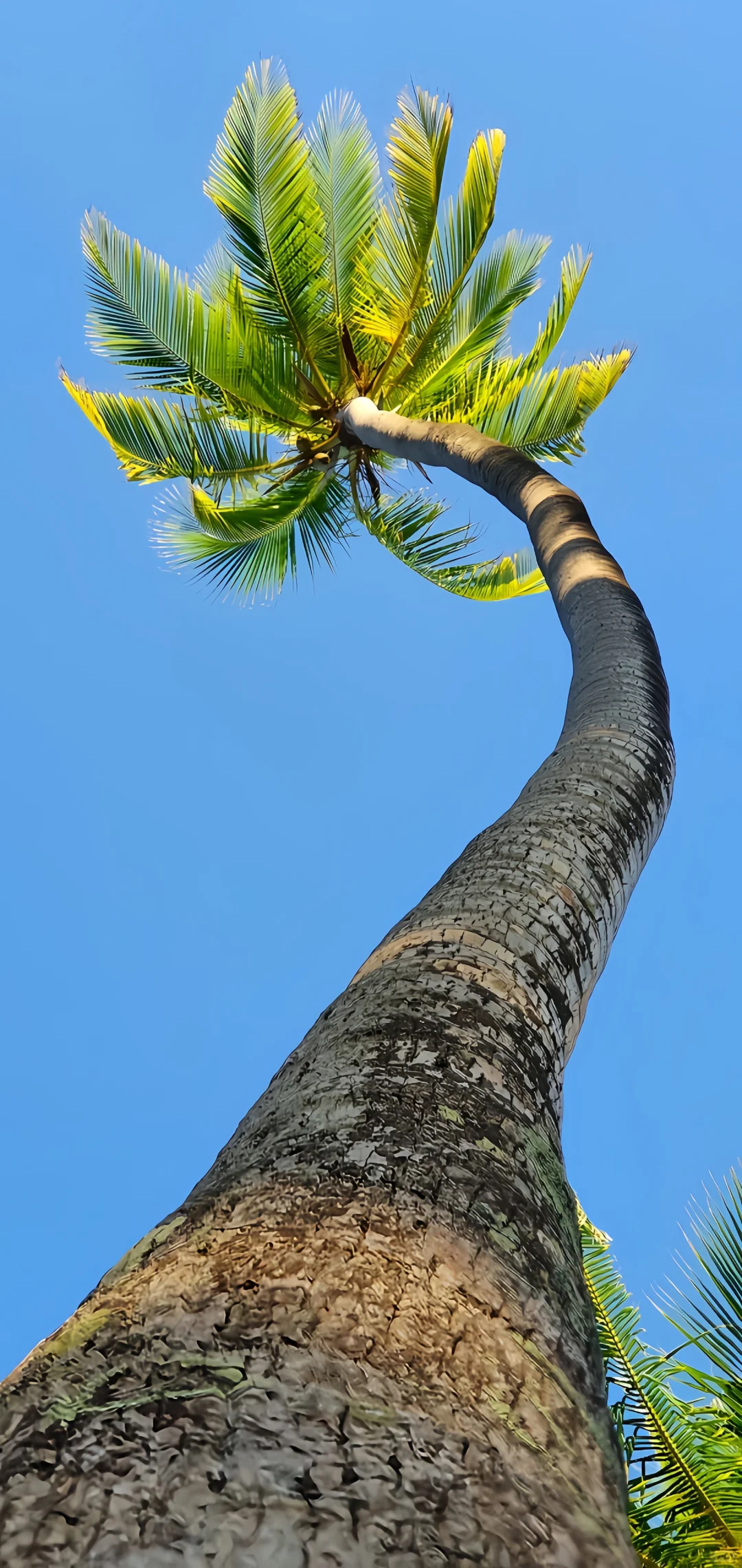 手机壁纸 | 高清壁纸🍿