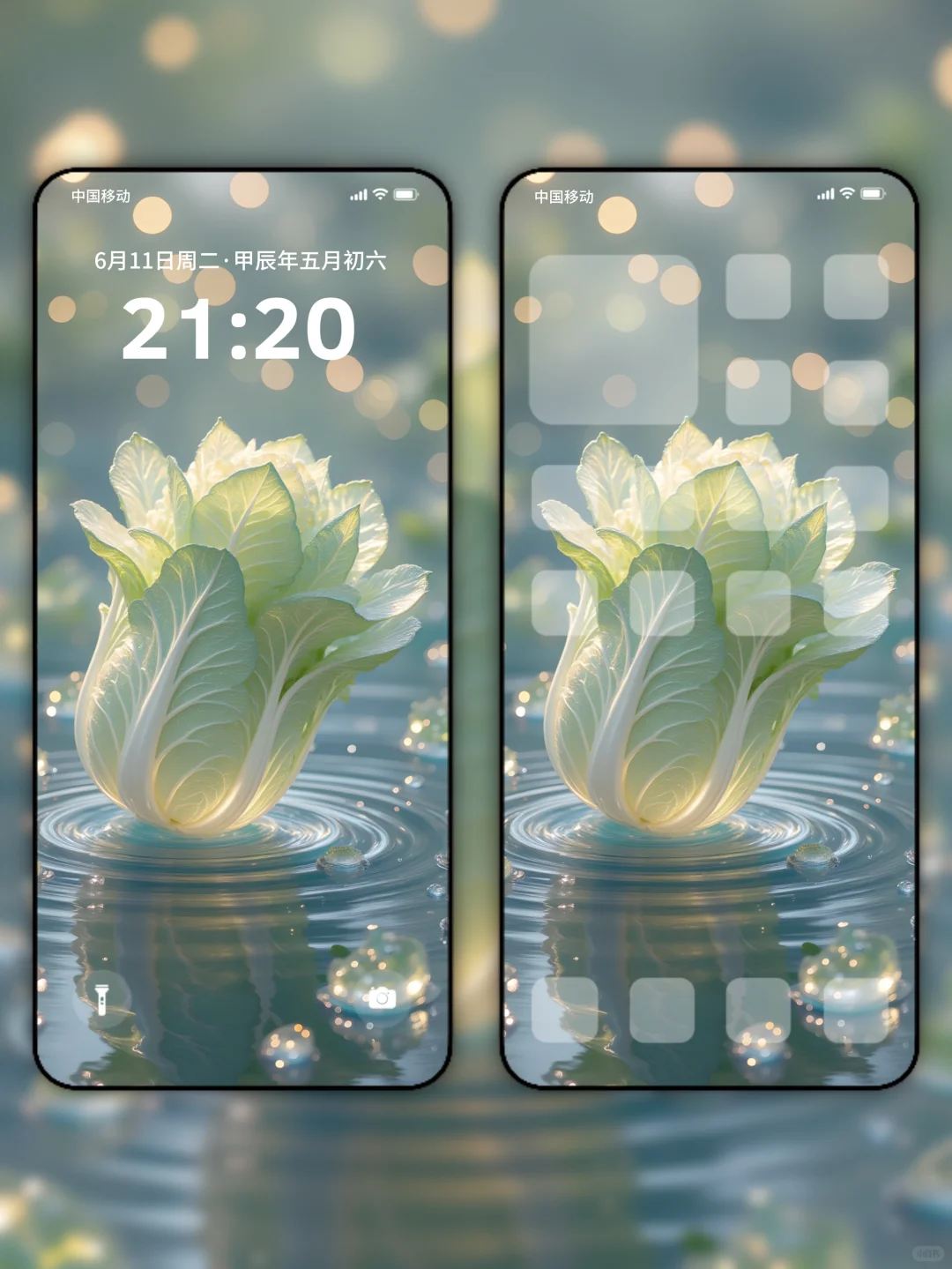 清池白菜 | 治愈写实 | 高清壁纸