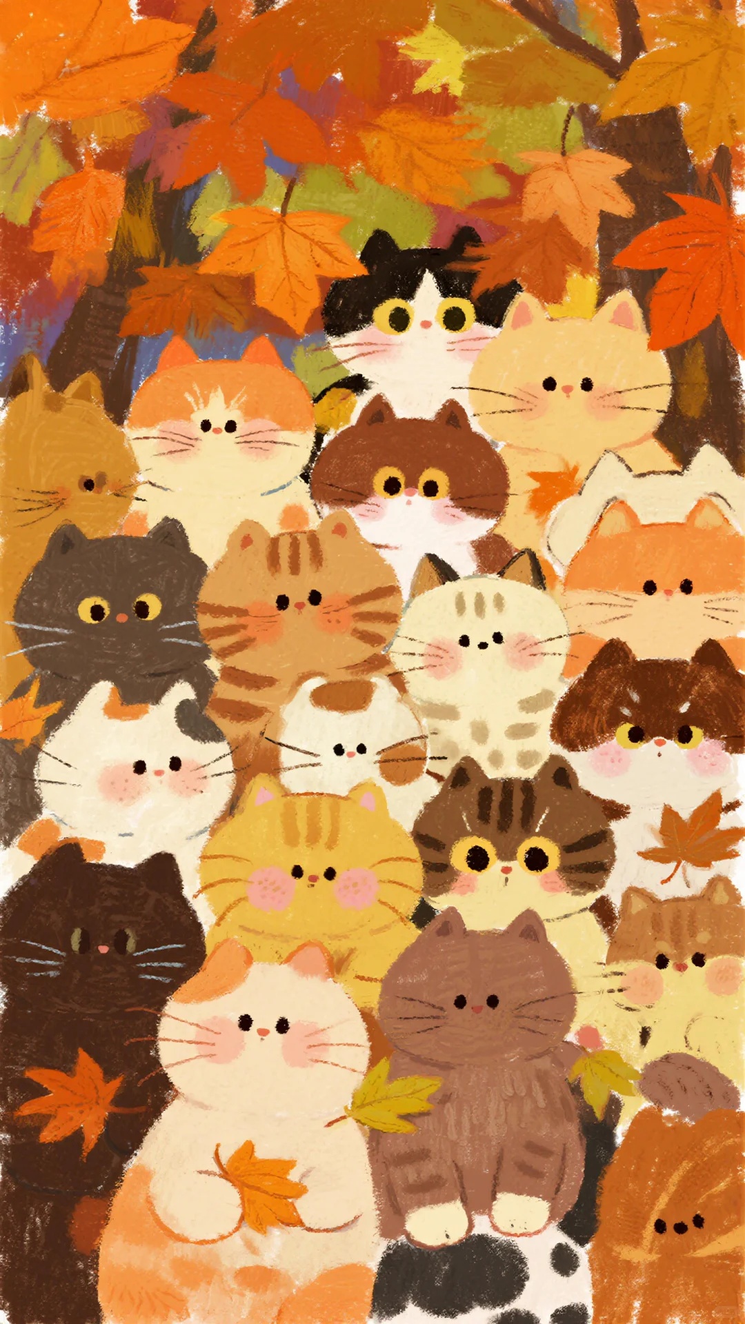 ✨壁纸|秋天🍂 猫猫全屏墙纸！喵喵~🐱