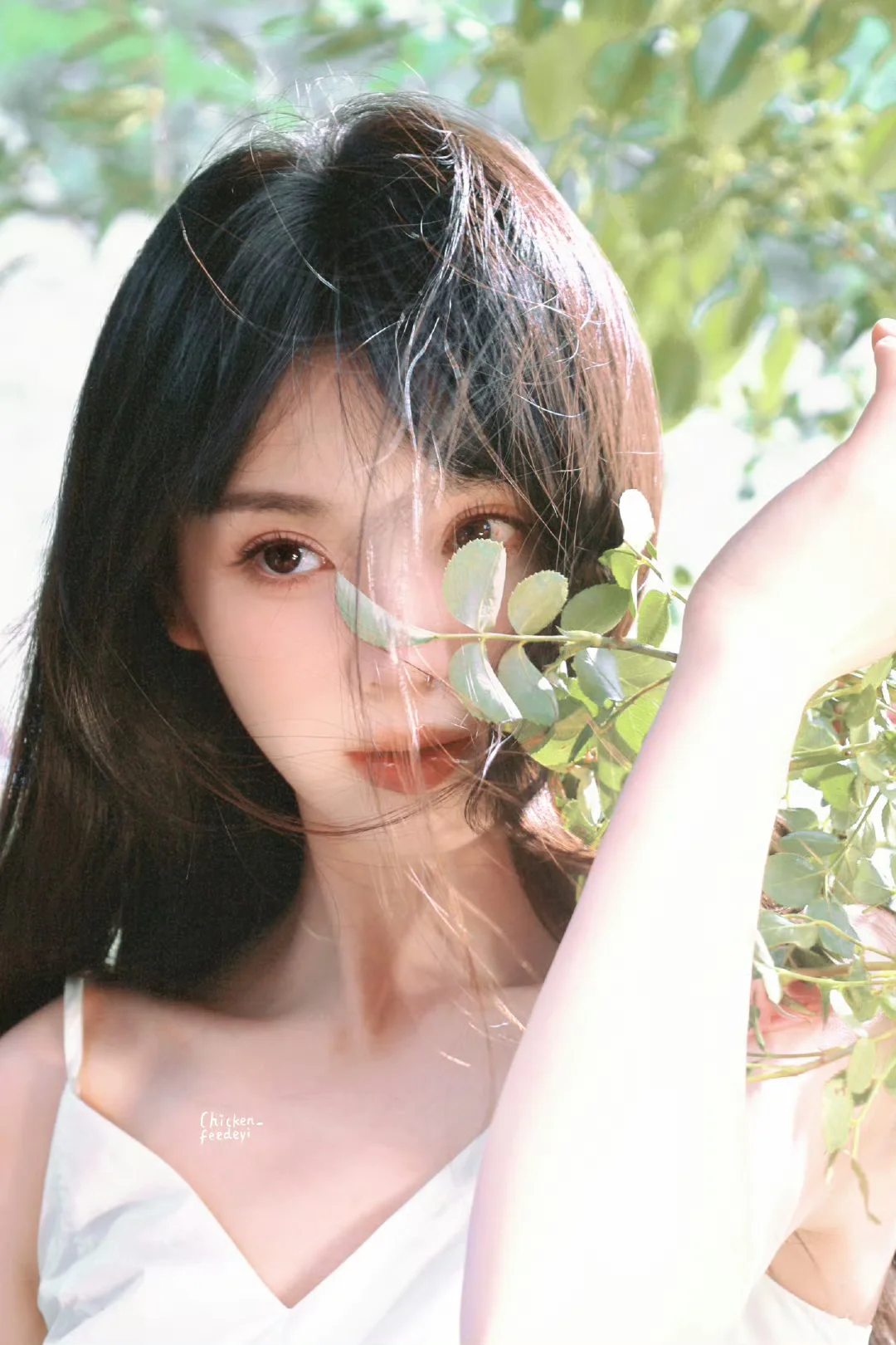 相貌显化第九天