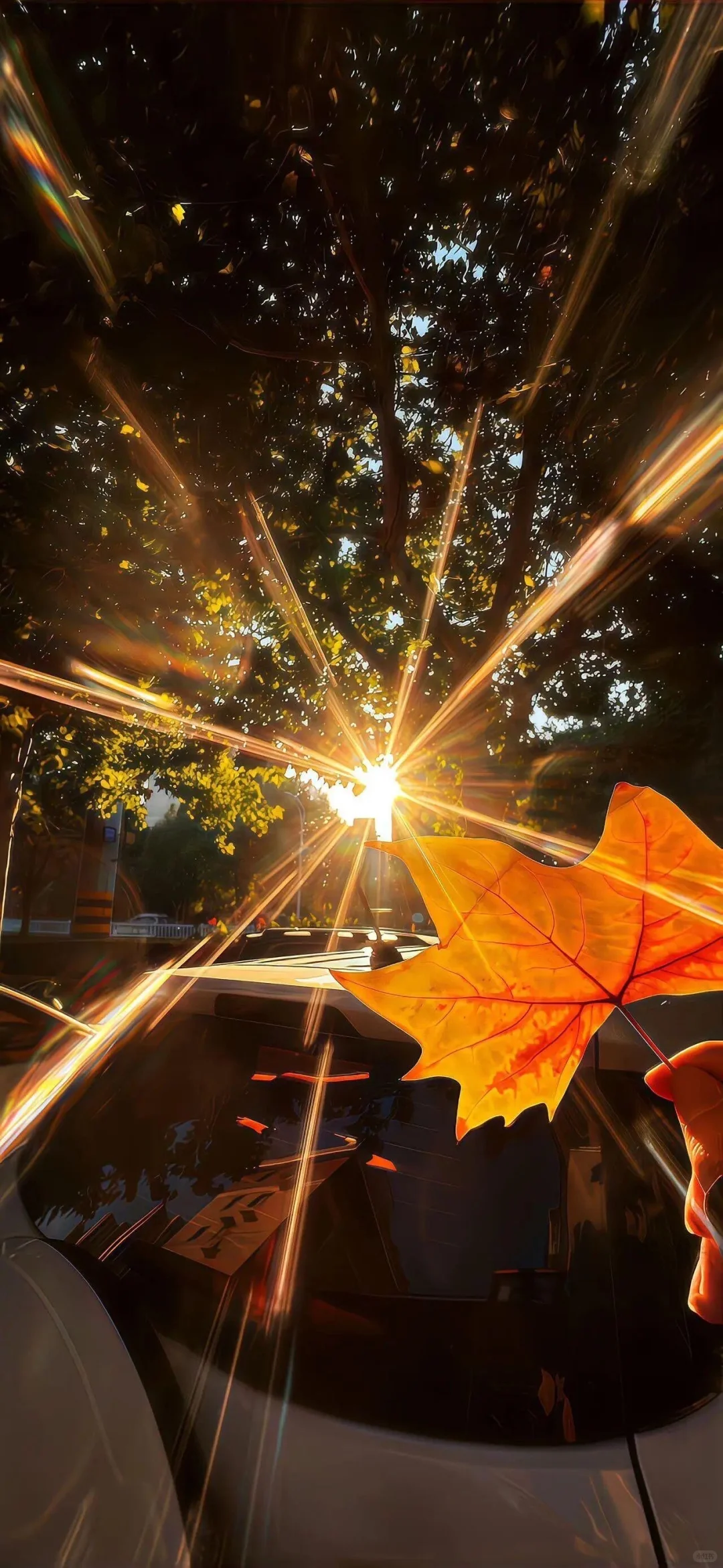 ios26壁纸|3D景深壁纸|裸眼壁纸