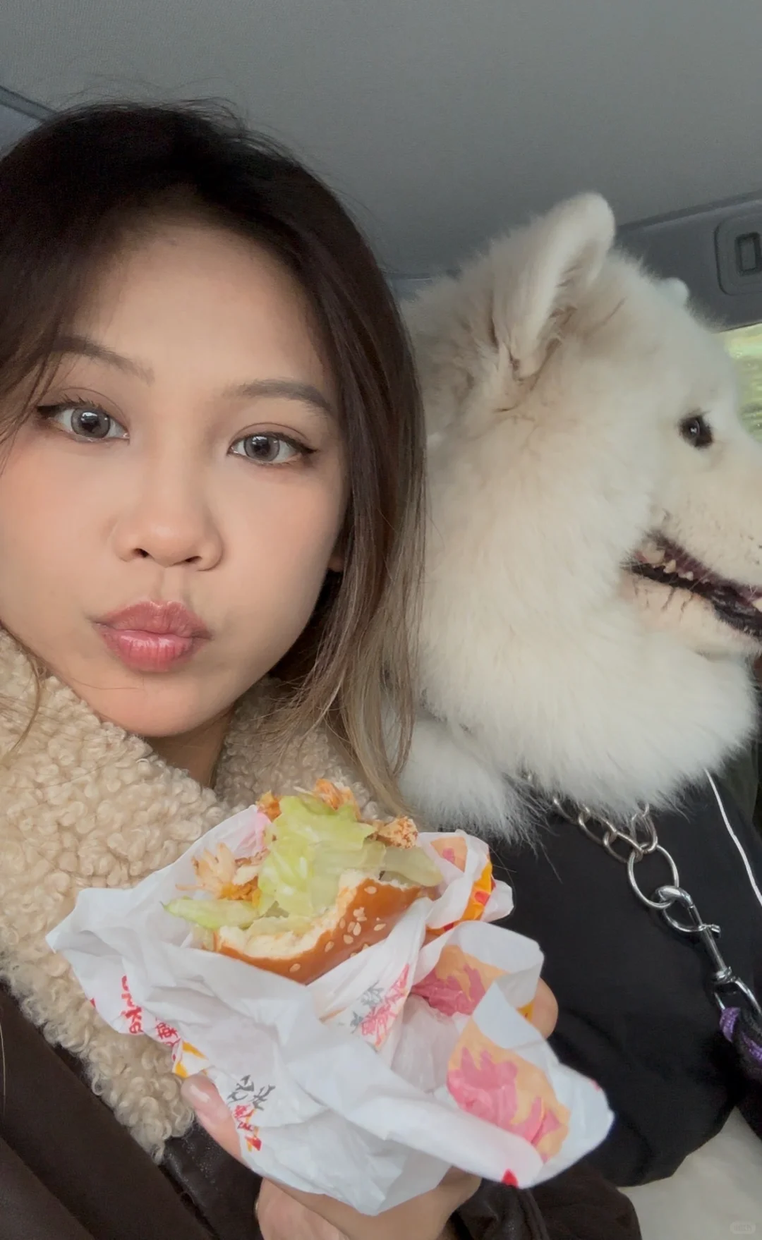 成为小猫女的第一步