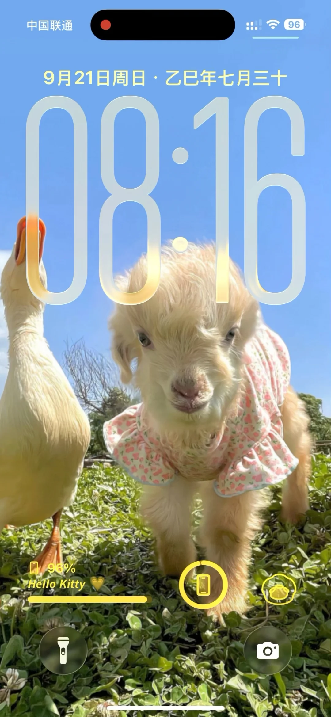 更新了iOS 26就一个字 “爽”