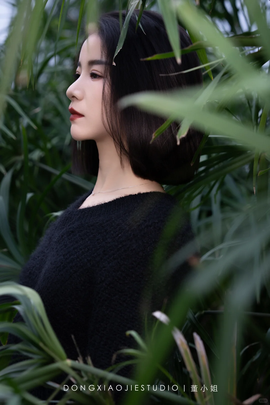 秋天的氛围感写真