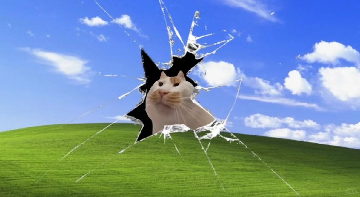 跪求类似的电脑壁纸！！