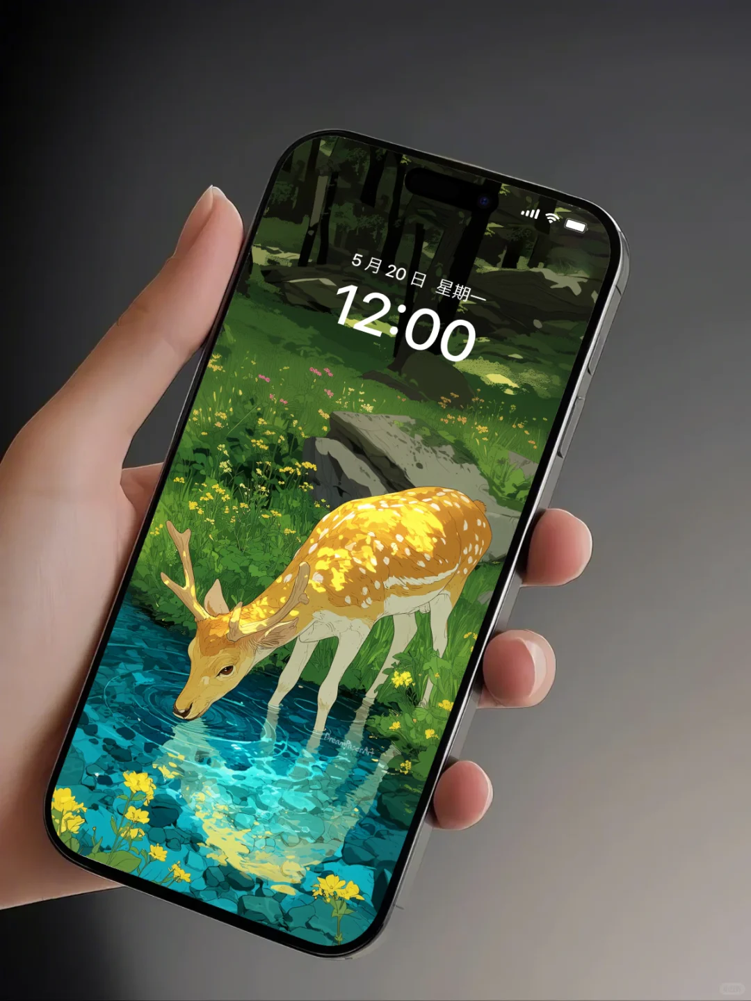 手机壁纸｜森林、