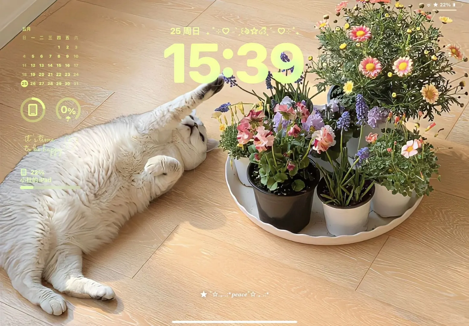 𝐖𝐀𝐋𝐋𝐏𝐀𝐏𝐄𝐑