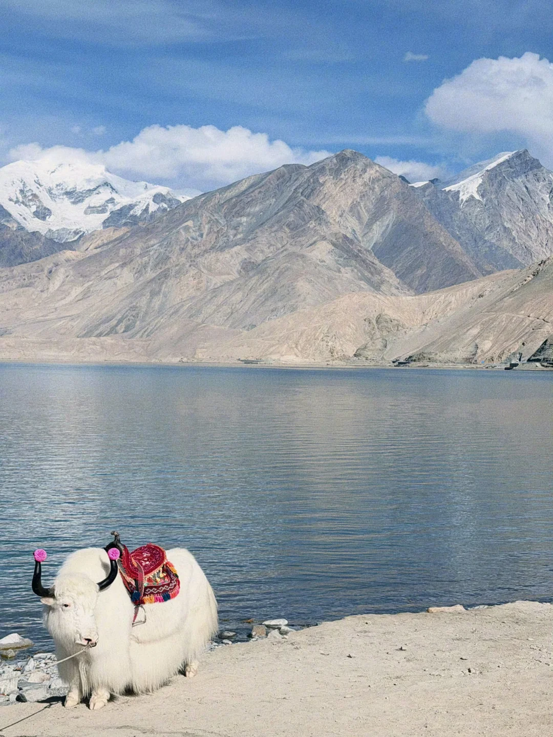 风景好美人更美😍