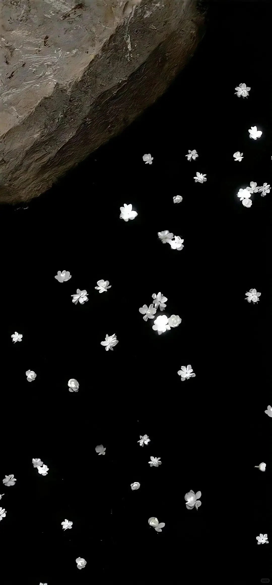 谢谢你，在世界🌍的角落找到我