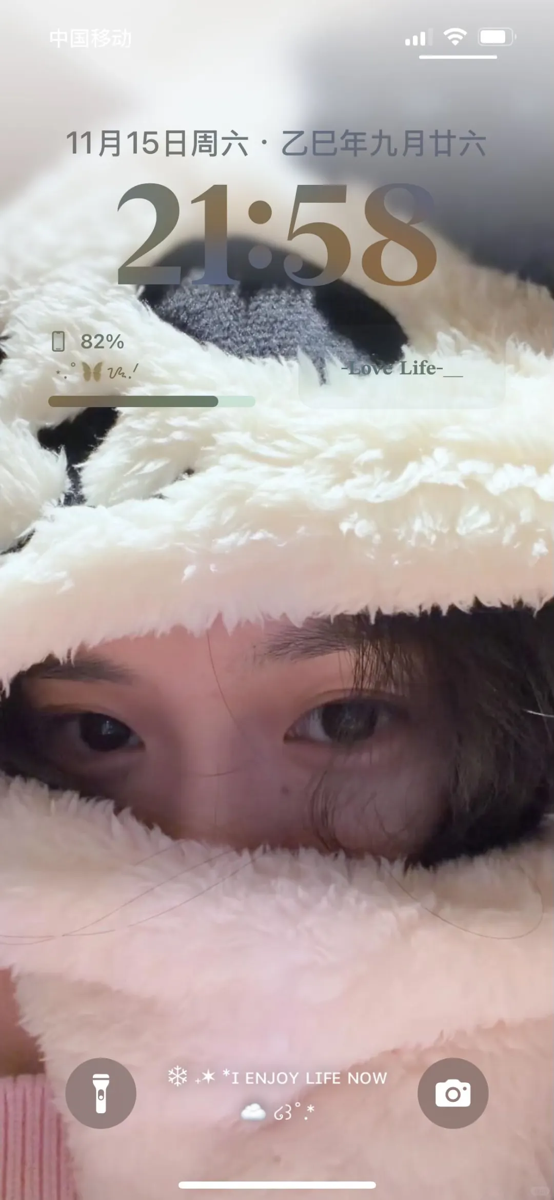 刘浩存小熊猫壁纸‼️