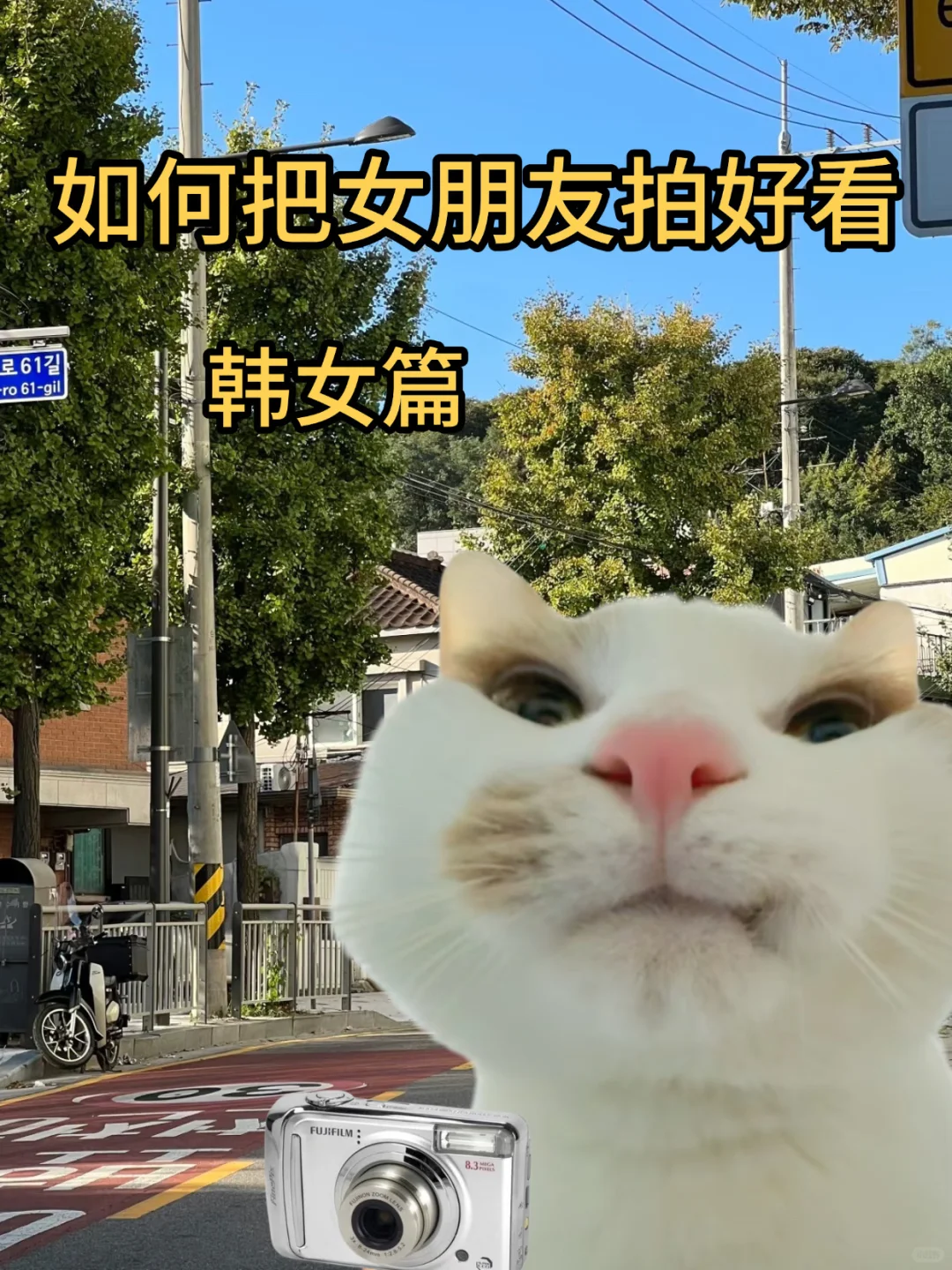 如何把女朋友拍好看｜韩女篇