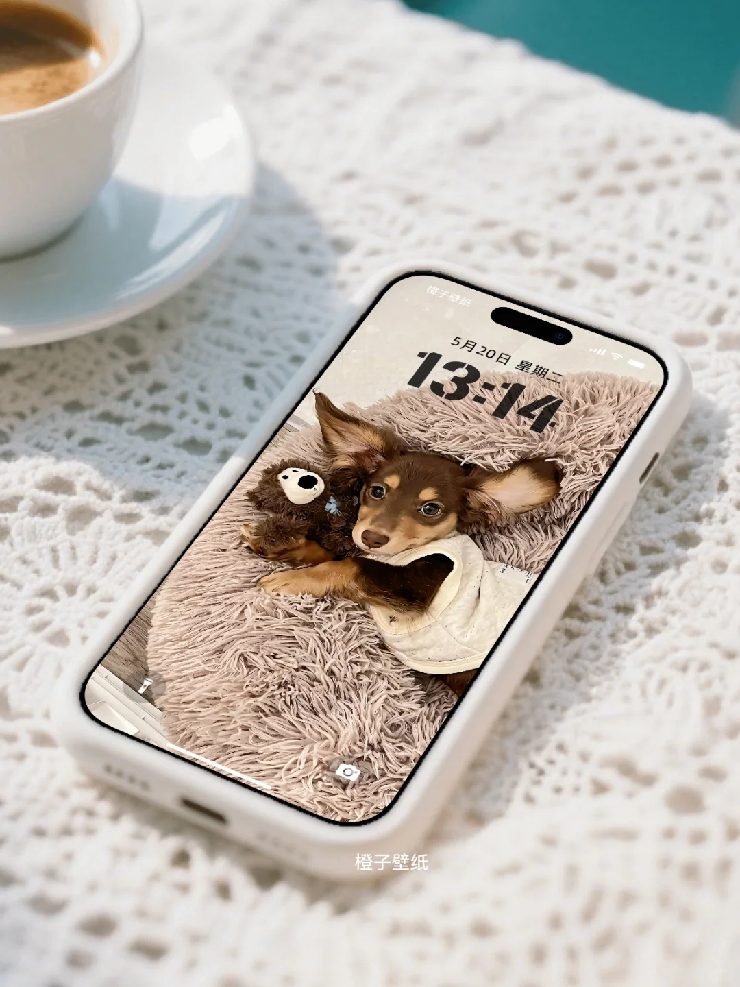 手机壁纸 | 我超喜欢我的手机壁纸