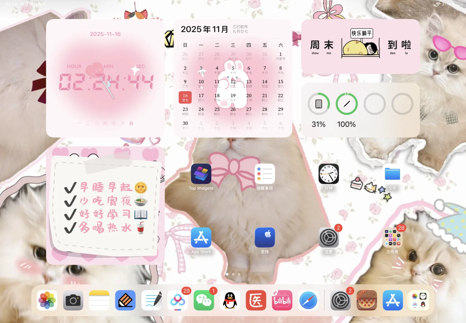 自制ipad猫咪壁纸