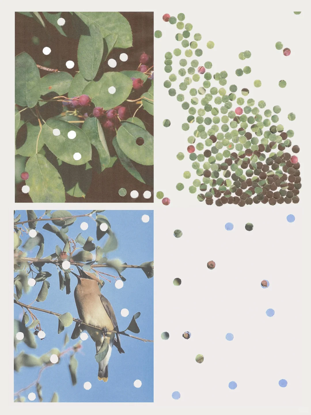 模特老师们看看我