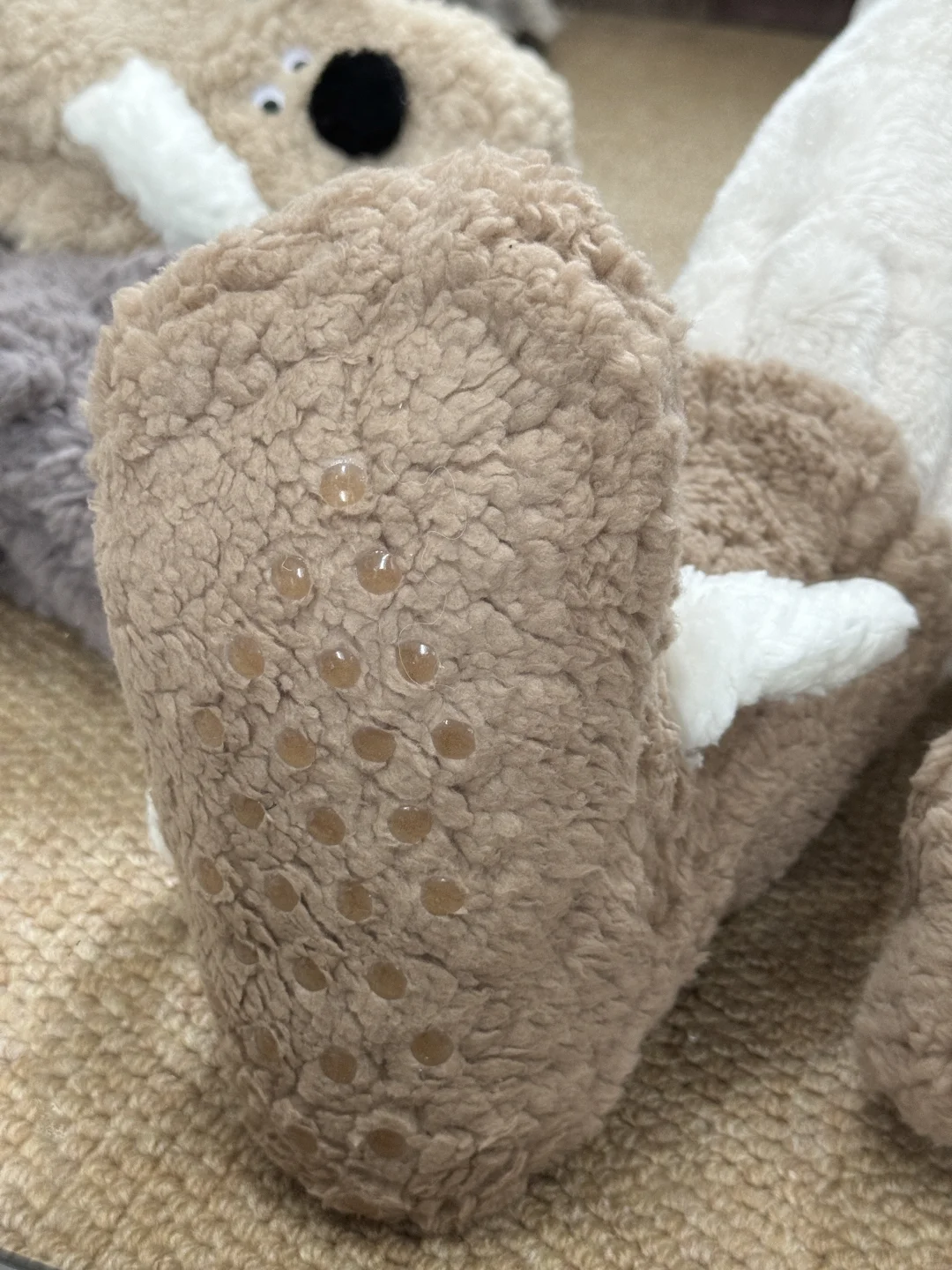 是谁收到了男朋友买的小狗地板袜鞋!!!!!