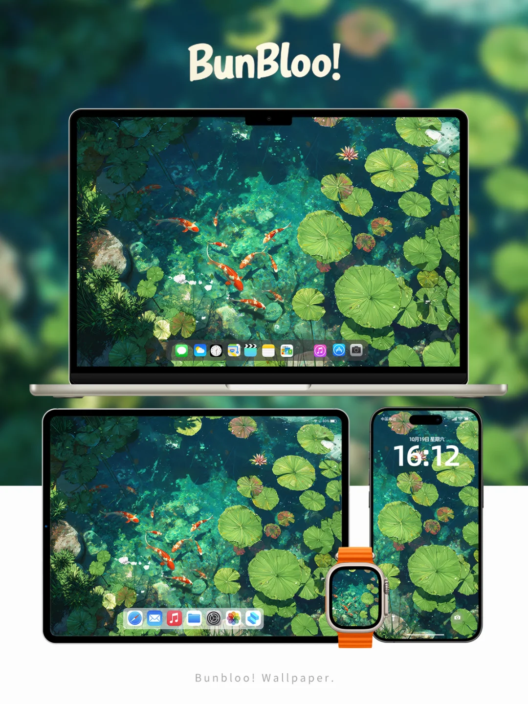 池塘里有锦鲤，今日份壁纸分享｜126