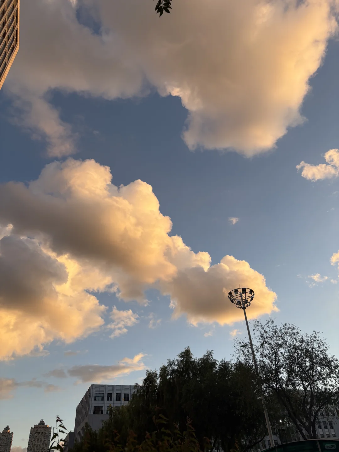 哈尔滨女研｜来之不易的时间和你