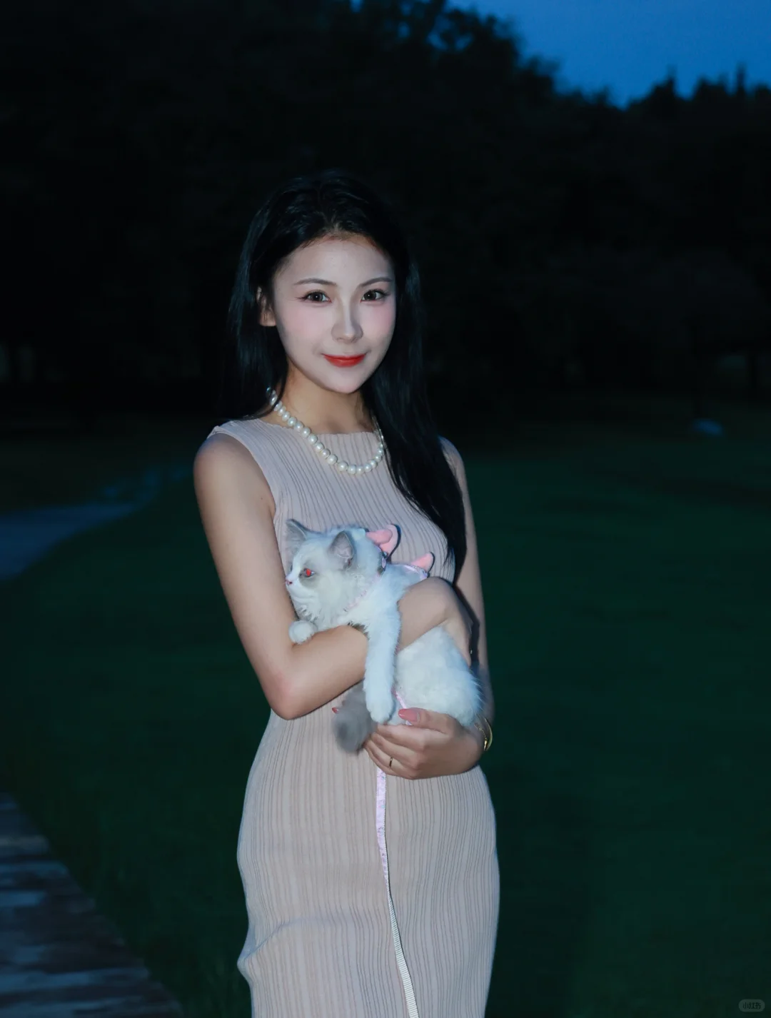 这么可爱的小猫咪你瑜伽小姨姐有两只