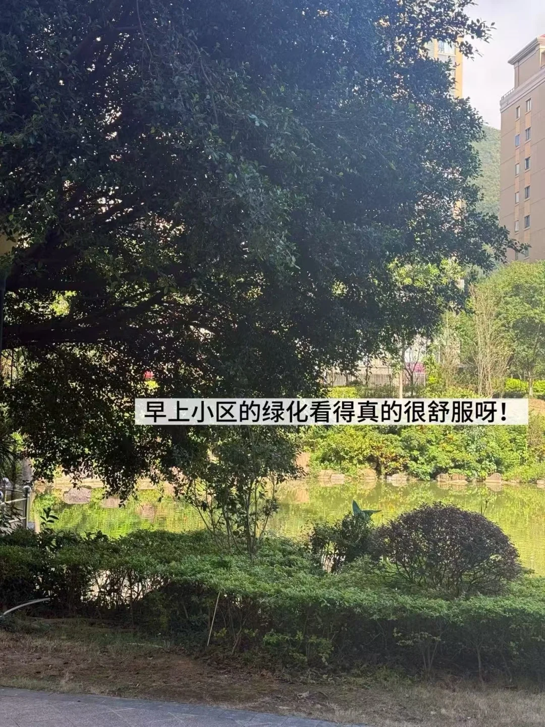 30+中女｜职场人久坐8h 也能保持曲线体态