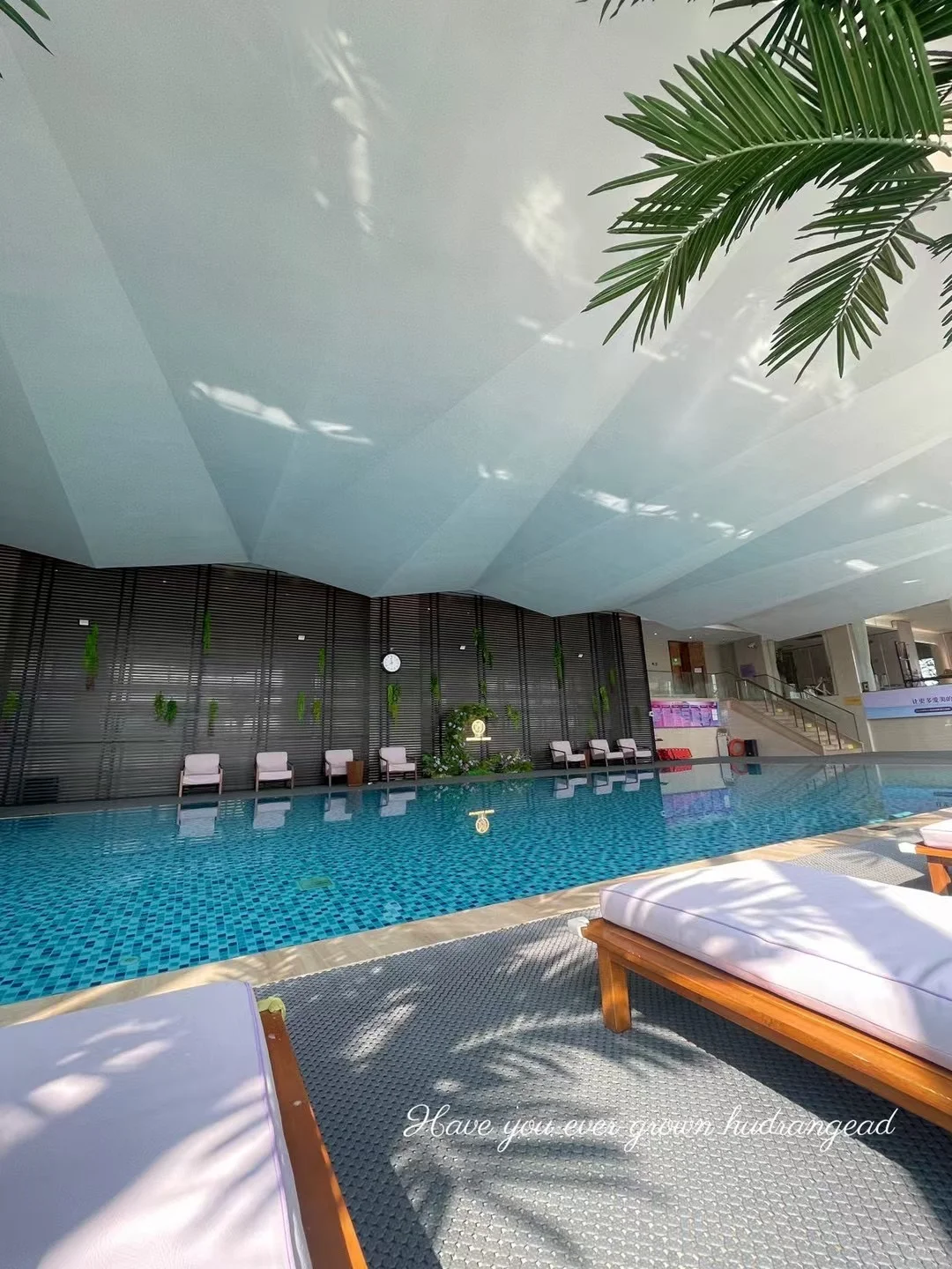 🌸女生专享！女性专属泳池 限6-8人私密泳池