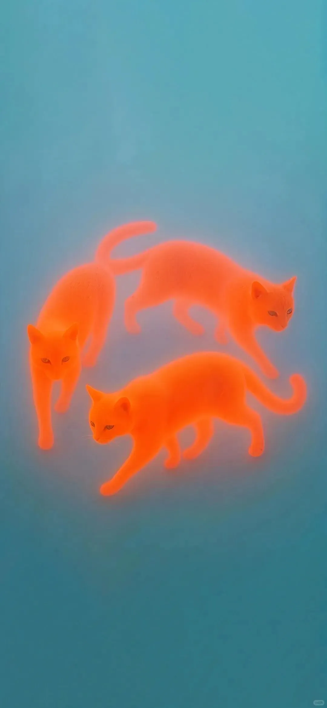 𝘄𝗮𝗹𝗹𝗽𝗮𝗽𝗲𝗿｜视觉权威壁纸