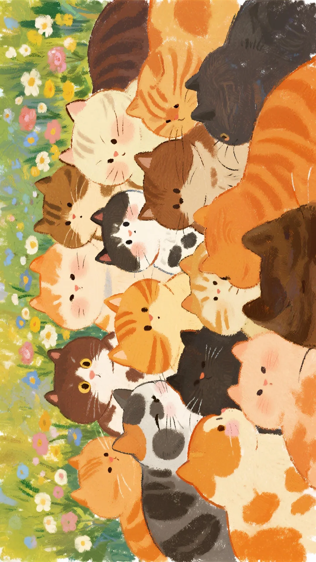 ✨壁纸|秋天🍂 猫猫全屏墙纸！喵喵~🐱