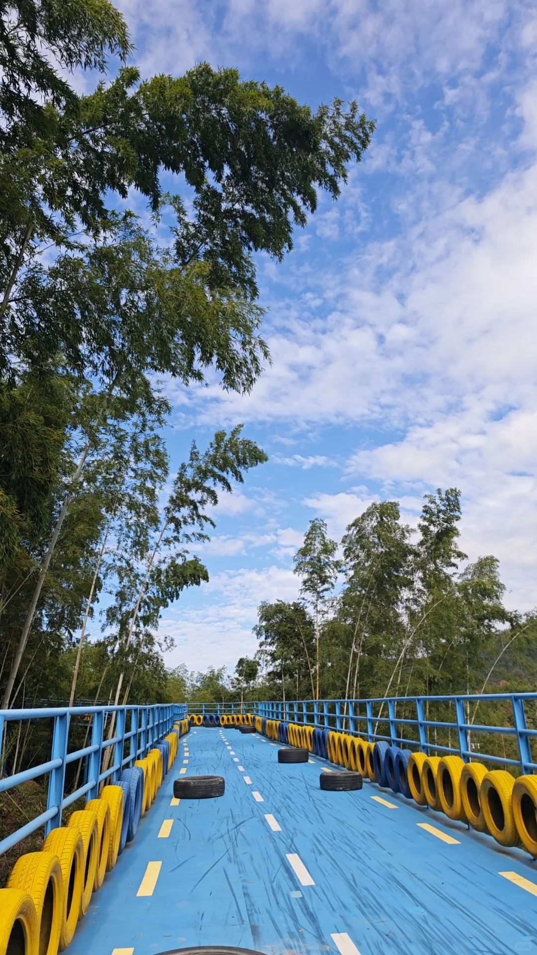 黄山芙蓉谷｜用壁纸解锁森系峡谷📷