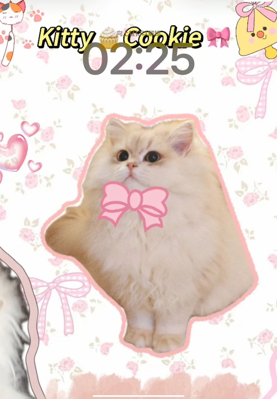 自制ipad猫咪壁纸