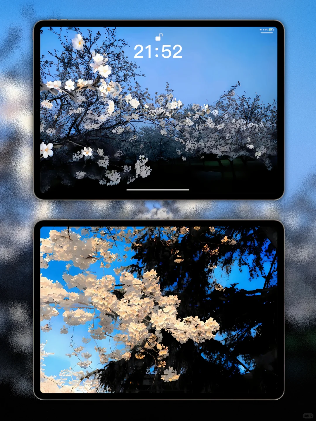𝙎𝙝𝙖𝙧𝙚｜ios26景深iPad壁纸
