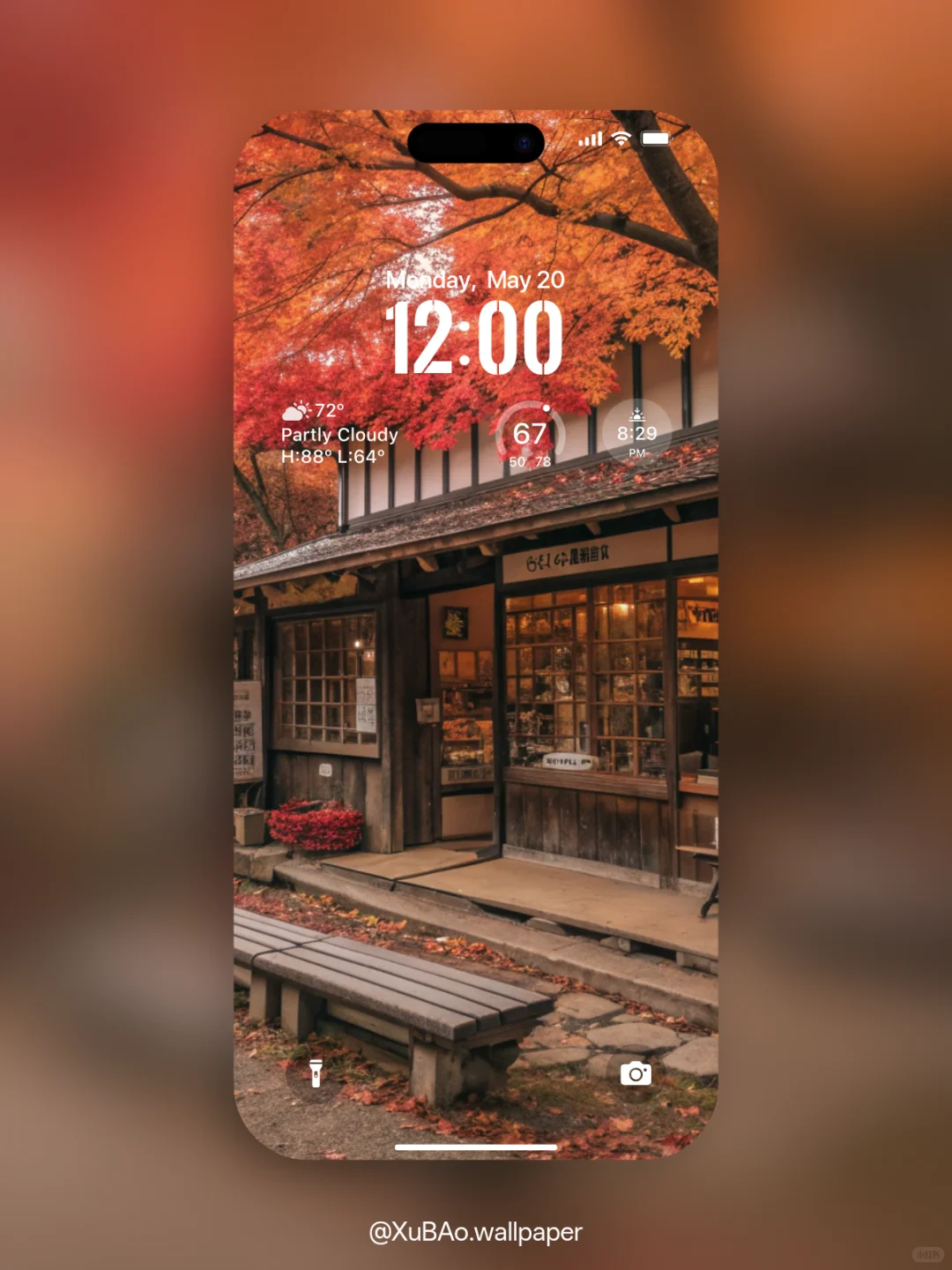 A2531 | 4k壁纸 | 秋舍枫华