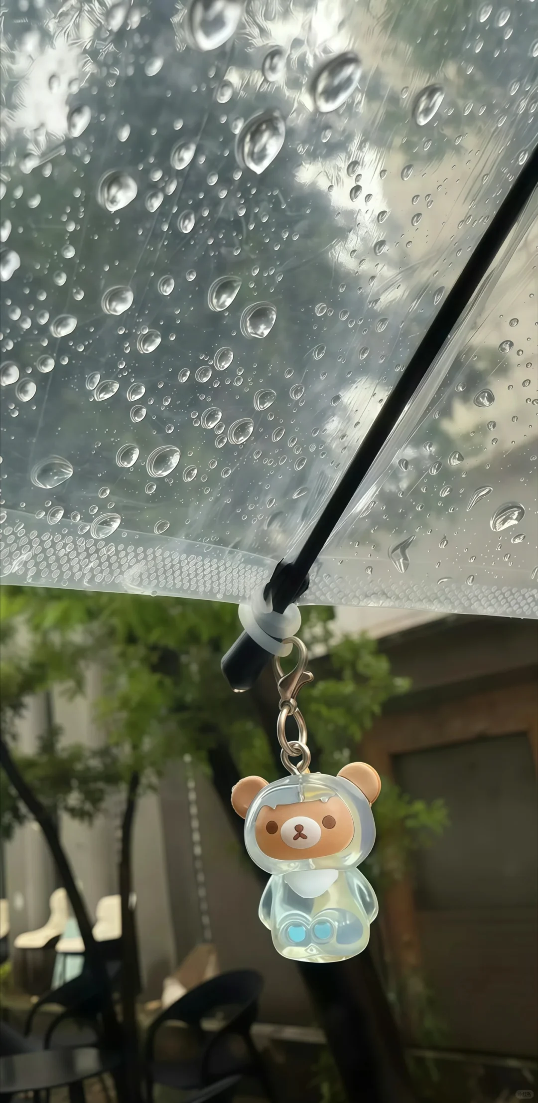 𝐒𝐡𝐚𝐫𝐞｜轻松熊壁纸