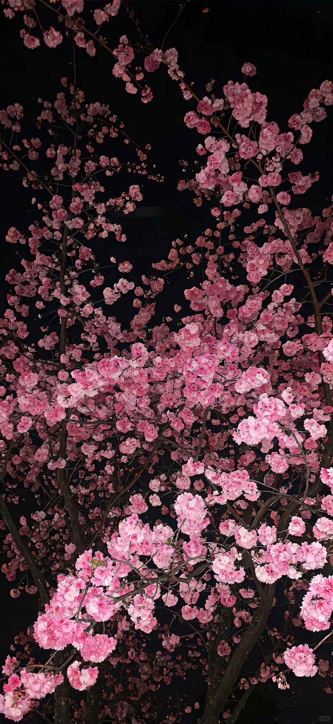 分享壁纸｜iOS26 3D 空间壁纸