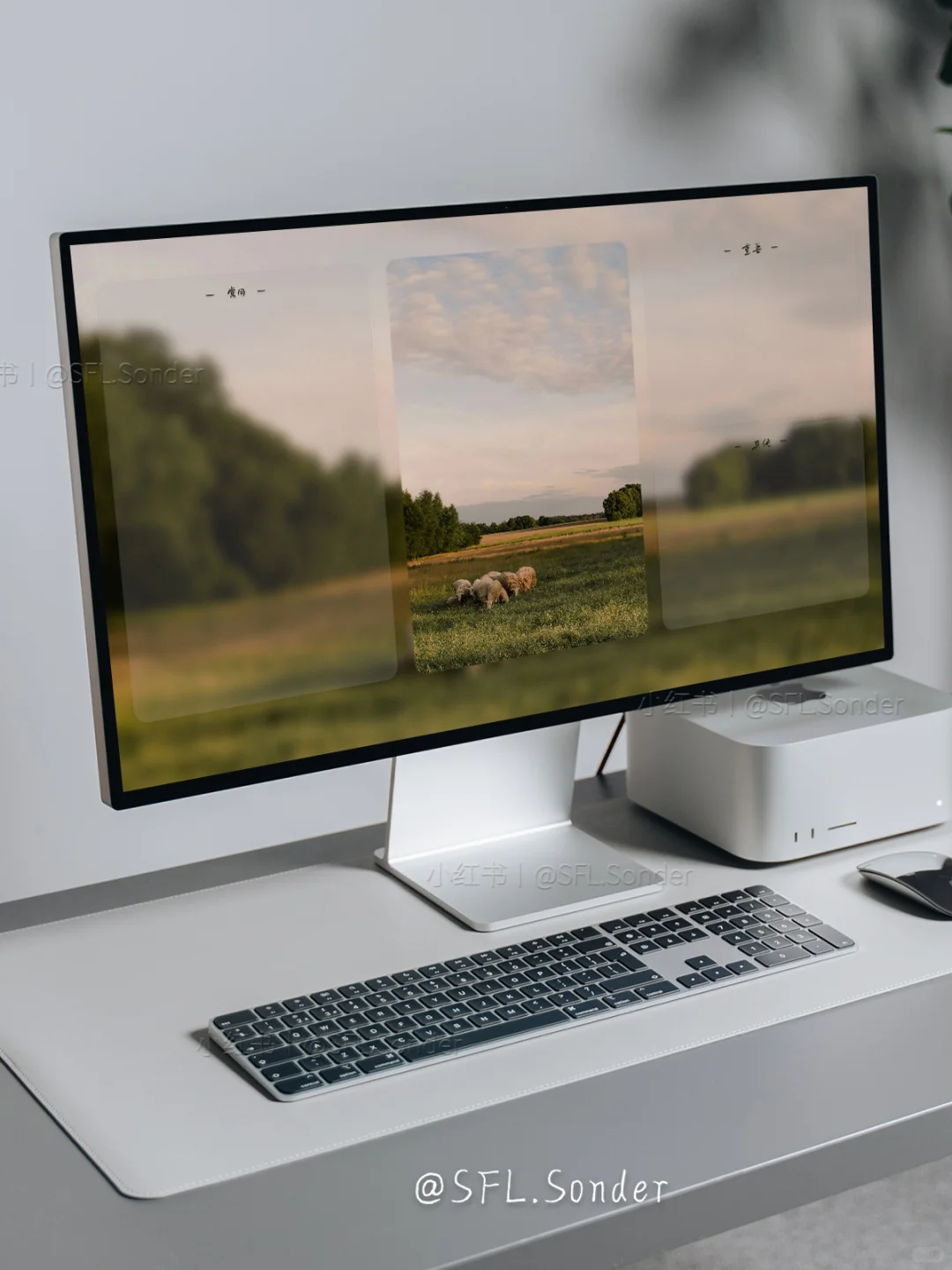 “秋日小羊·秋天风总是微凉.”#电脑壁纸