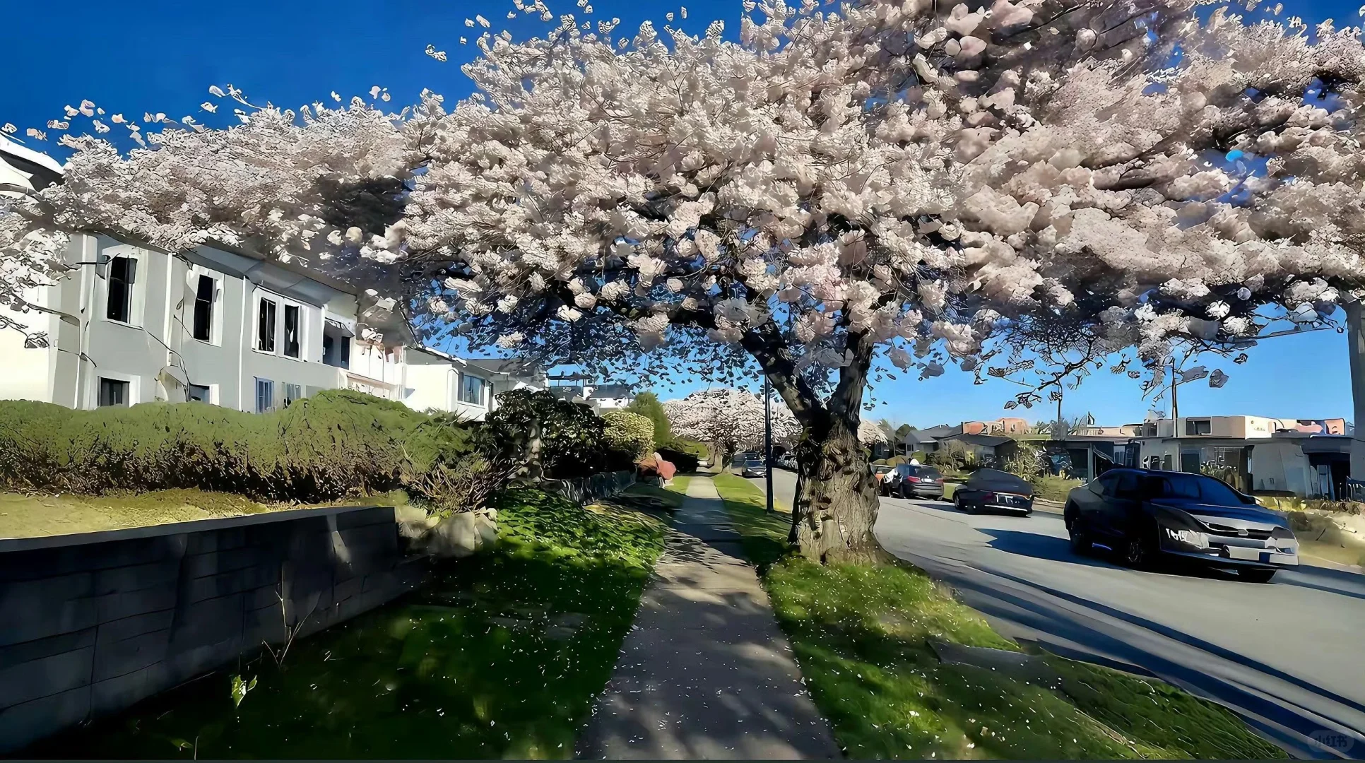 iOS26平板党狂喜！3D景深裸眼壁纸太绝了✨