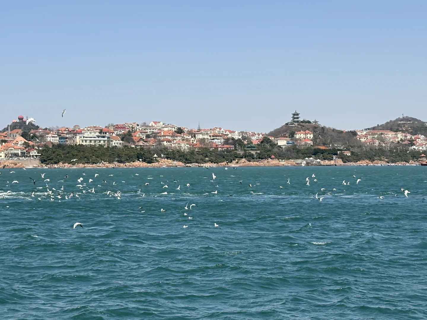 我好像突然发现了女生魅力的本质