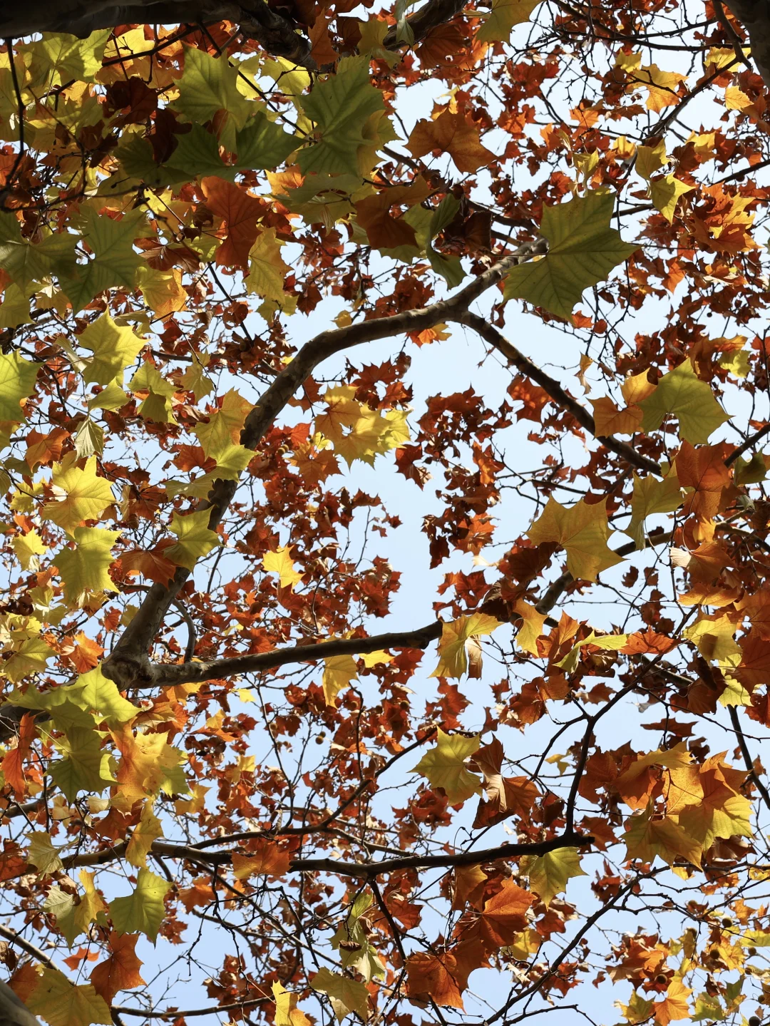 在青岛海边喝杯咖啡