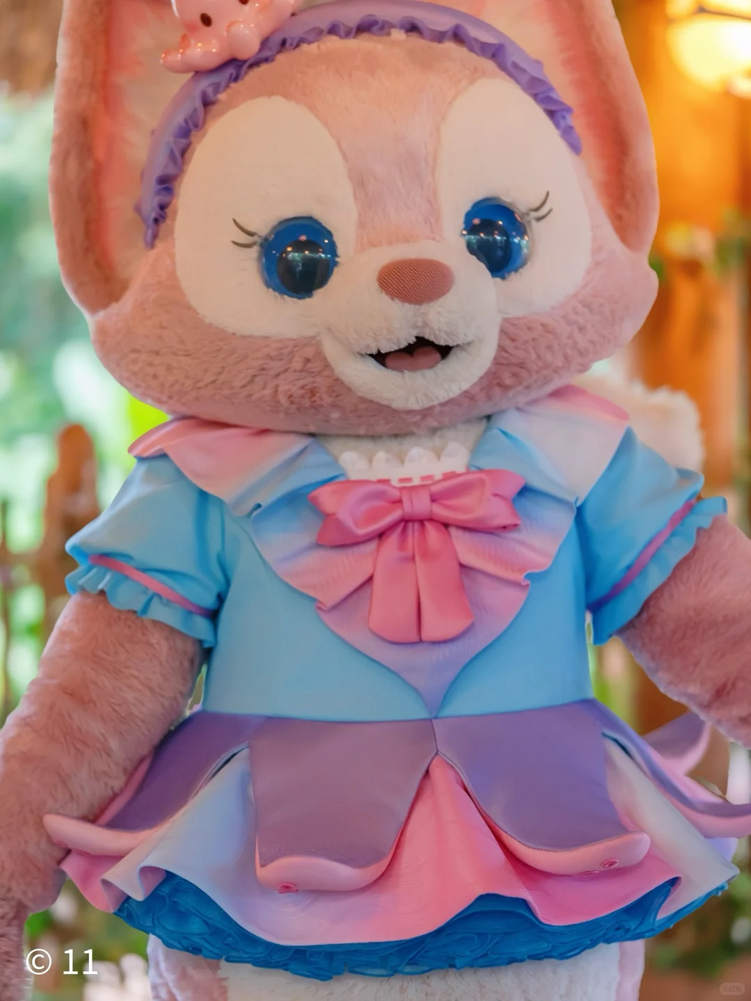 本狐是最性感的🐙🐙