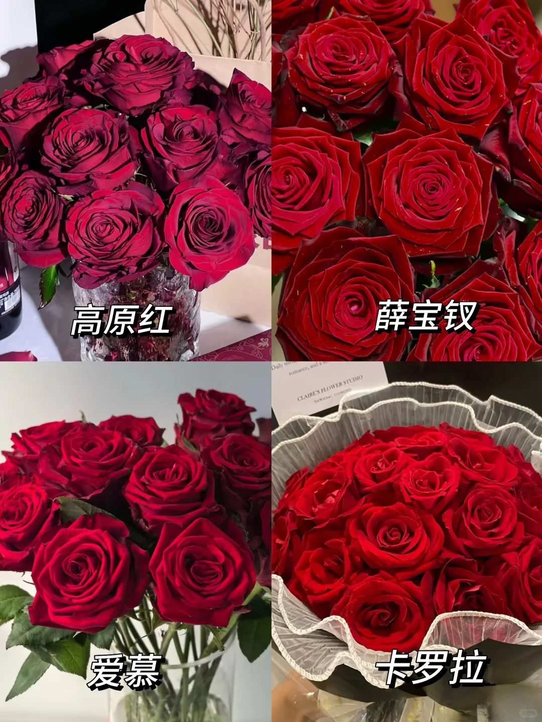 没有女生能拒绝！这几种玫瑰美到心尖发颤！