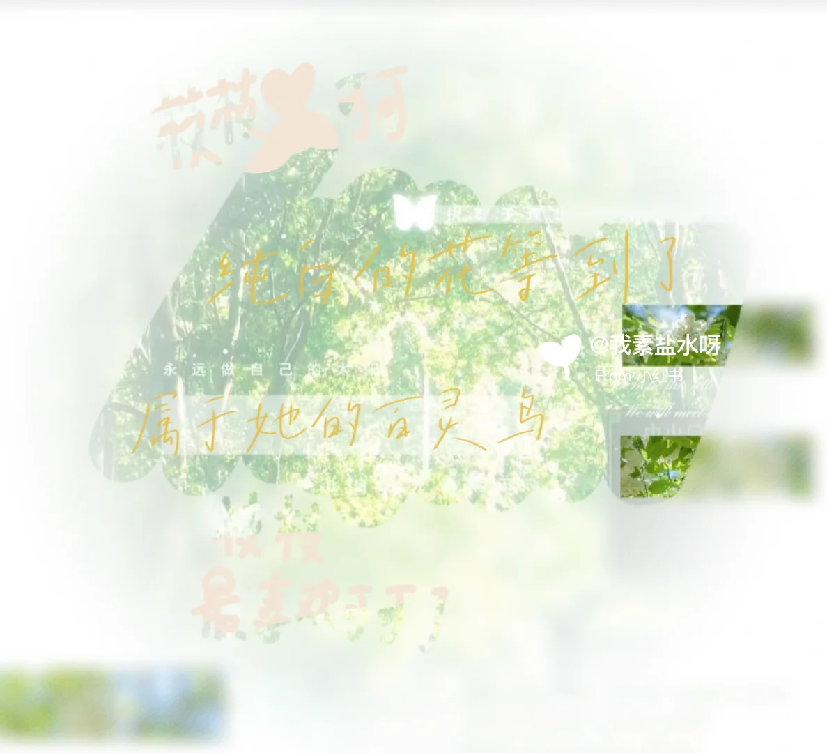 爆！！！灰市Boss让这么可爱的女孩当童工