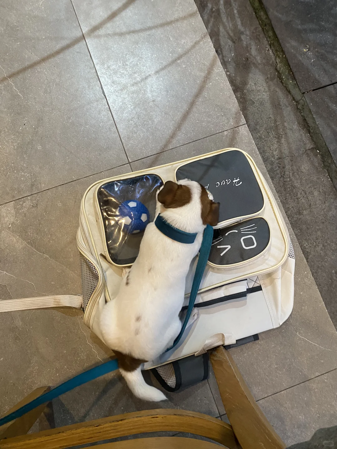 坏女孩的写真集