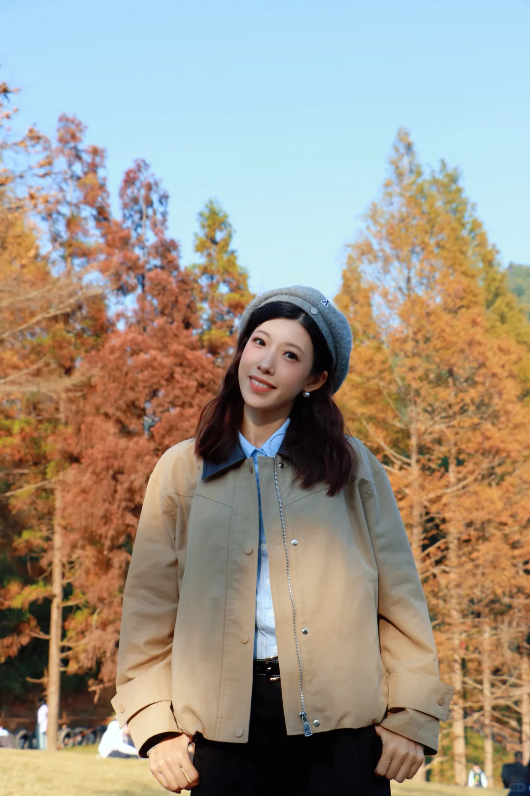 又被骗去了🙂‍↔️11月15日惨状